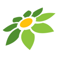 MARKETPLACE TOKOPEDIA